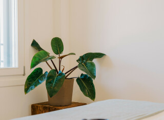 Bild 48994 von Haus Elounda The Villas Villa Two