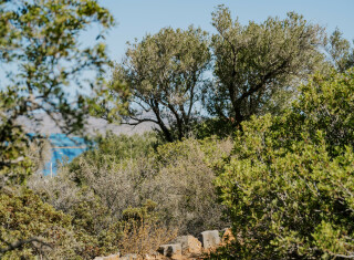 Bild 49018 von Haus Elounda The Villas Villa Two