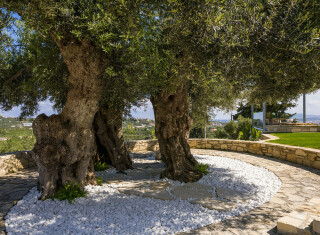 Bild 47784 von Haus OliveNest Chania