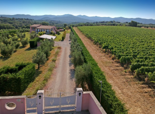 Bild 37835 von Haus Villa Franca